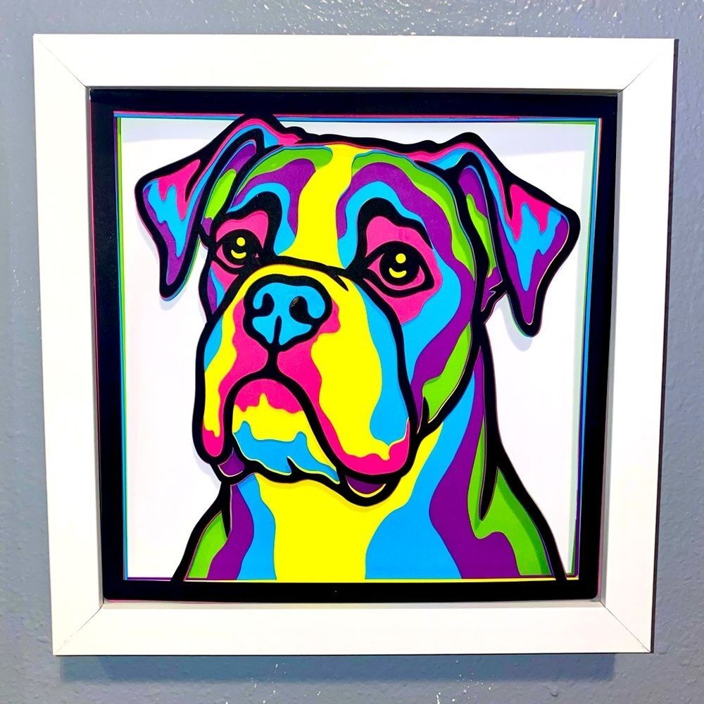 3D Boxer Multicolor Shadowbox - Picture 6 of 8